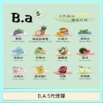 B.A 5代主機煙彈電子煙一盒三顆